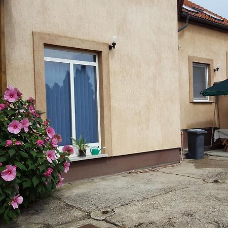 Csóka Panzió Zalaegerszeg Exterior foto