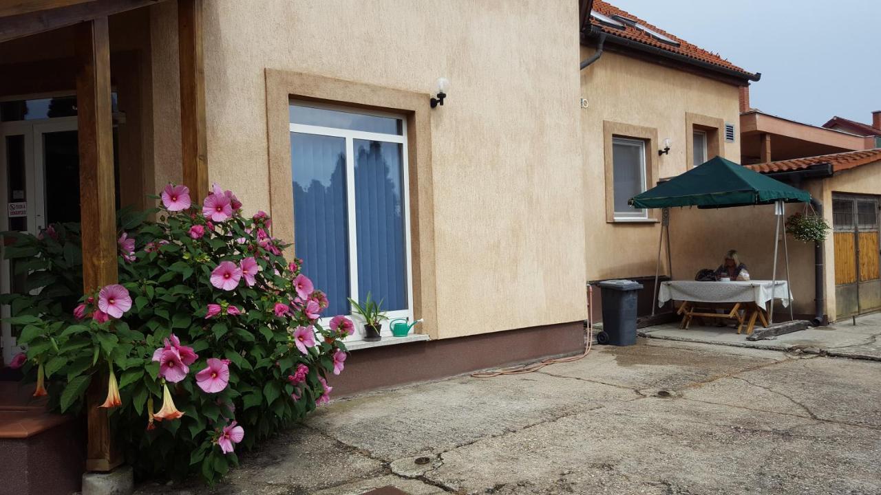 Csóka Panzió Zalaegerszeg Exterior foto