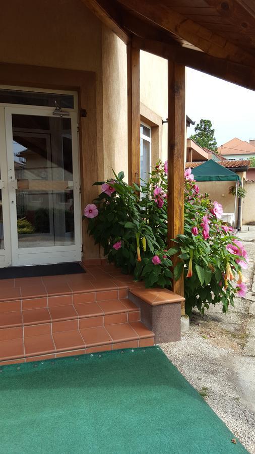 Csóka Panzió Zalaegerszeg Exterior foto